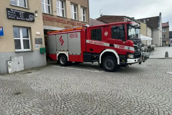 Siewierz: kolizja samochodu osobowego z dzikiem na ul. Przemysłowej
