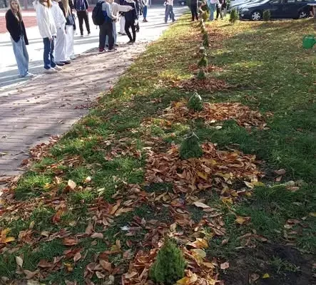 Święto Drzewa w SP2 Czeladź: uczniowie posadzili 14 świerków