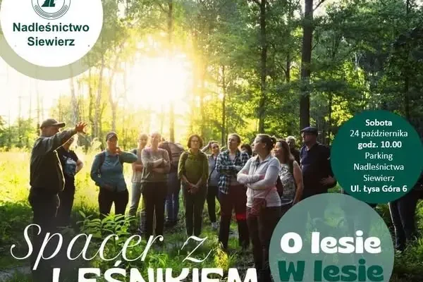 Spacer z leśnikiem „Las na jutro” w Siewierzu – odkryj sekrety lasu