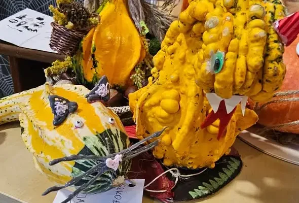 Międzyszkolny Festiwal Dyni – znamy laureatów konkursu